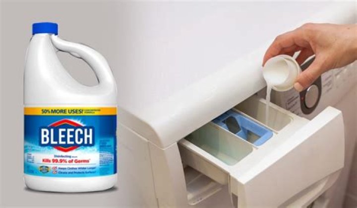 Can you put bleach on your couch