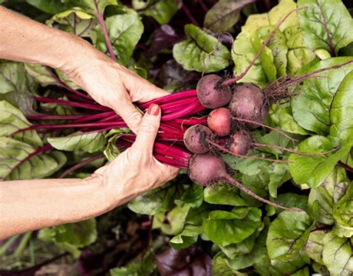 Do beets interact with any medications