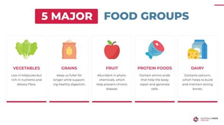 What are the 6 major food groups