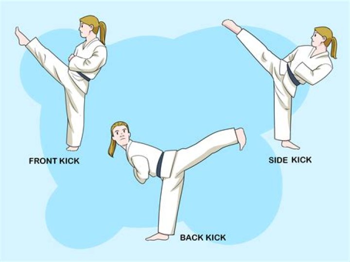 What are the karate moves called
