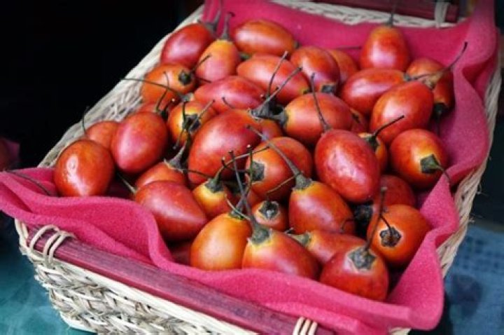 What does a tamarillo taste like