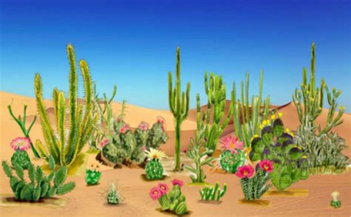 What kind of vegetables can you grow in the desert