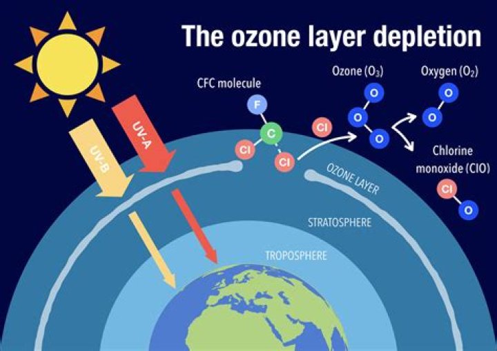 What layer is warmed from below by the Ozonosphere
