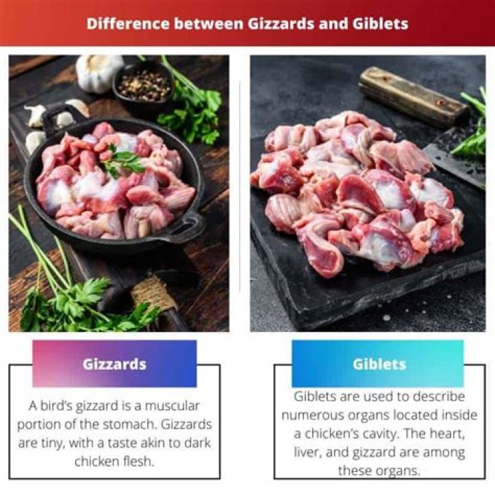 Whats the difference between giblets and gizzards