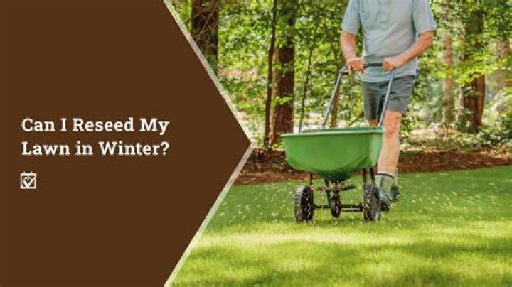 When can I reseed my lawn in Minnesota