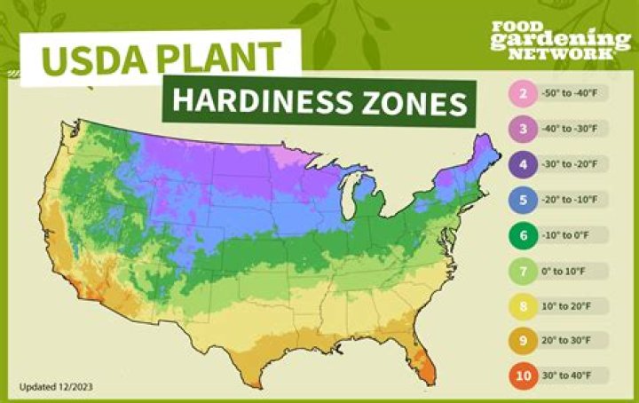 When can you start planting in Houston