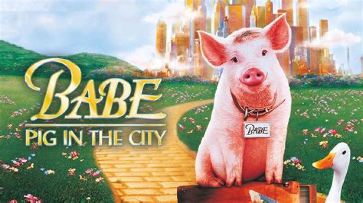When did Babe Pig in the City come out