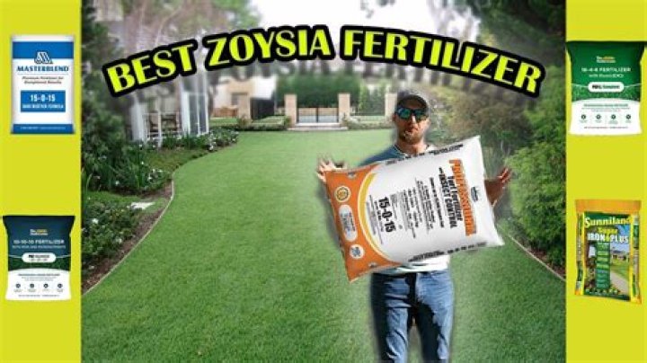 When should I fertilize my lawn in spring Colorado