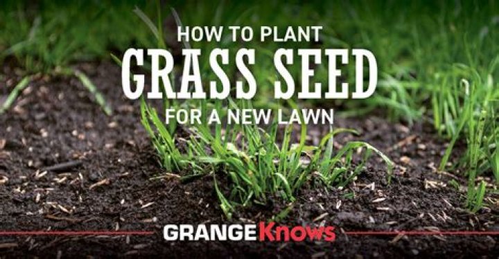 When should I plant grass seed in Utah