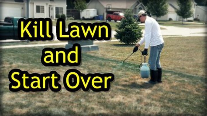 When should I start killing my lawn and start over