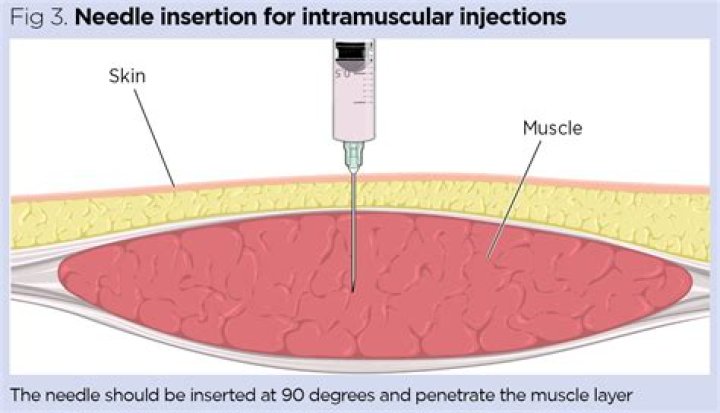 Where do you give a cow an intramuscular injection