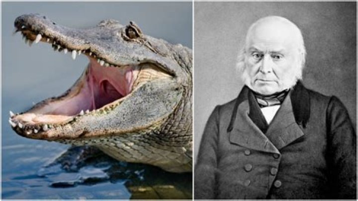 Which president had a pet alligator