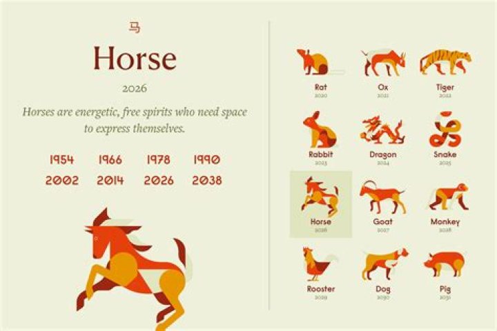 Who first domesticated the horse